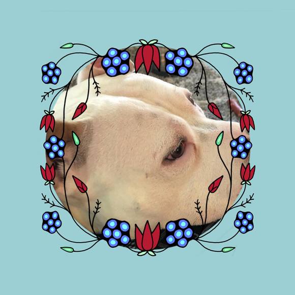 Meet your Posher, Christine - Picture 1 of 1